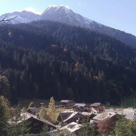 Le Nid Independant Mountain Morzine