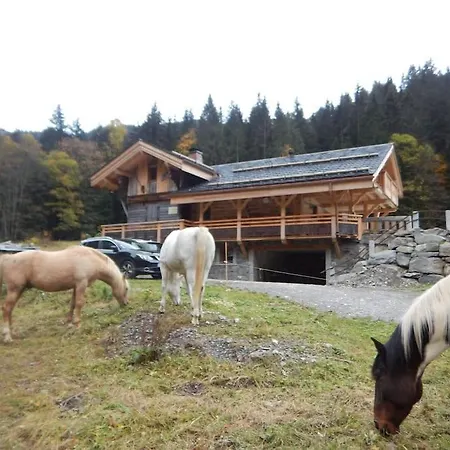 Le Nid Independant Mountain Chalet Morzine