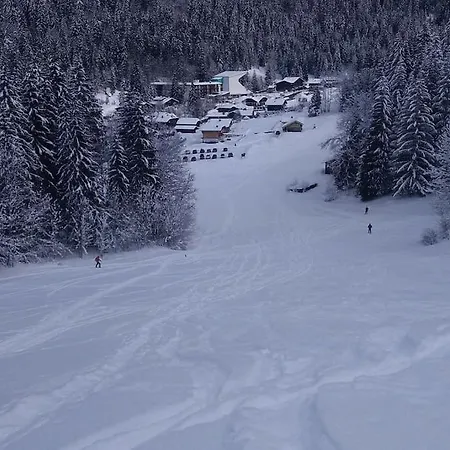 Le Nid Independant Mountain Morzine
