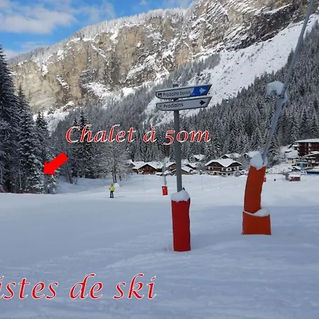 Le Nid Independant Mountain * Morzine