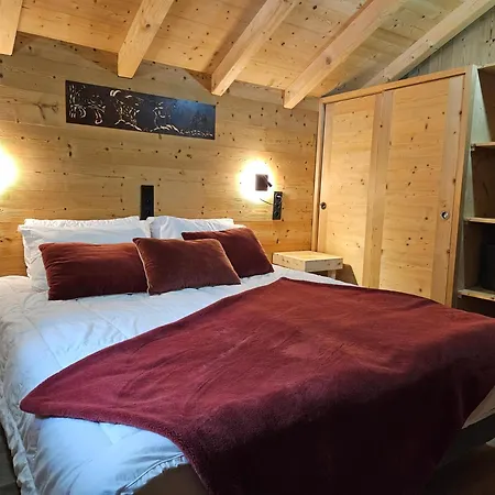 Le Nid Independant Mountain * Morzine